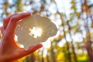 Corporate Sustainability Due Diligence Directive